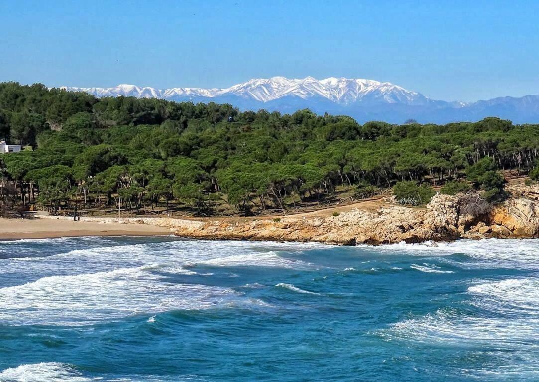41 Les Imperiales Villa Collioure Dış mekan fotoğraf