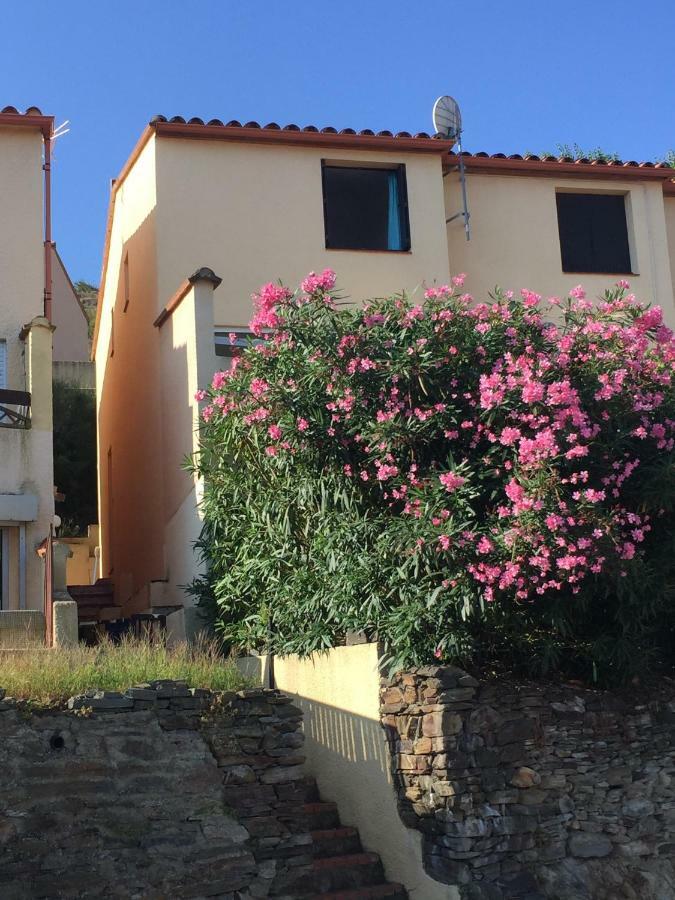 41 Les Imperiales Villa Collioure Dış mekan fotoğraf